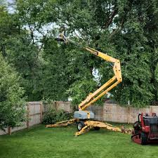 Best Lawn Watering Services  in Desoto Lakes, FL